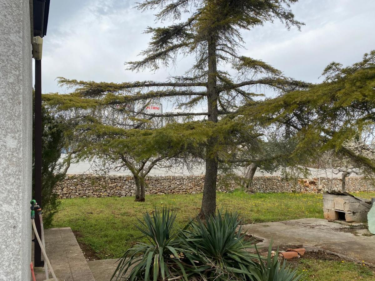 Villa Mima Santeramo in Colle Exterior foto